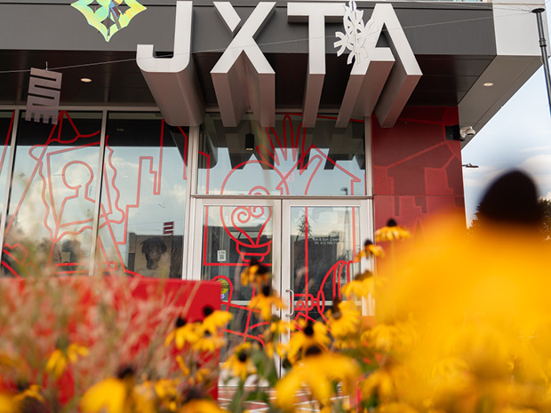 Bright yellow flowers in the foreground with a building behind, featuring large letters 'JXTA' on the facade. Red and gray abstract art decorates the glass entrance.