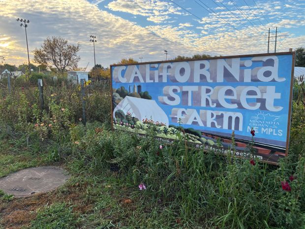 California Street Farm in northeast Minneapolis.