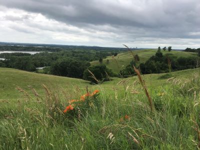 Prairie restoration on the bluffs above the Minnesota River in Eden Prairie