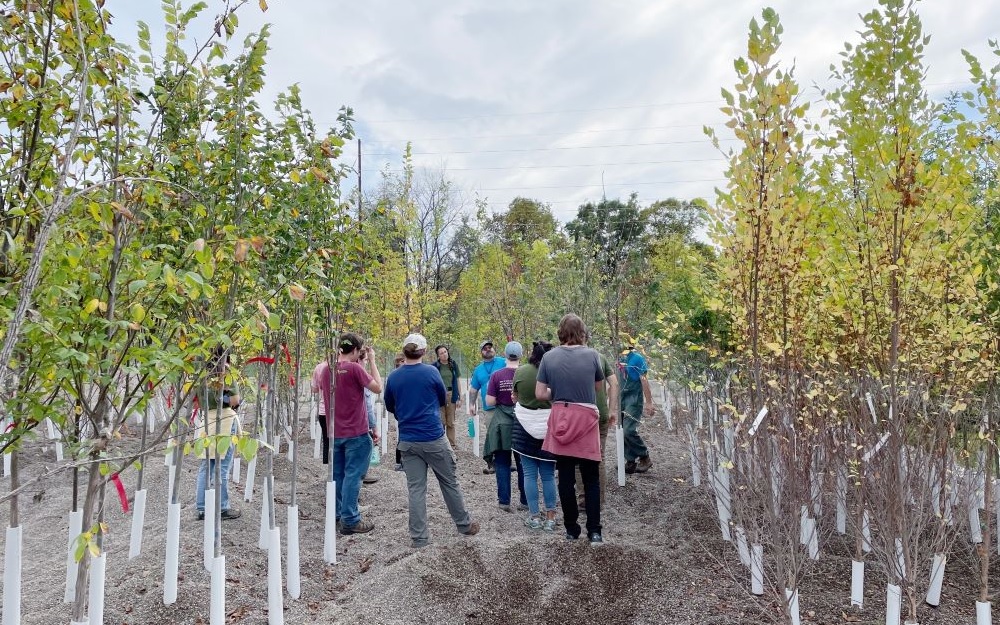 People walk through a gravel bed nursery