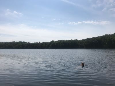 A person swimming in a lake