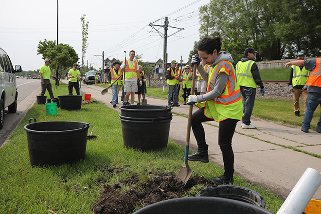 Girl with shovel digging a hole next to a sidewalk during a volunteer tree planting event