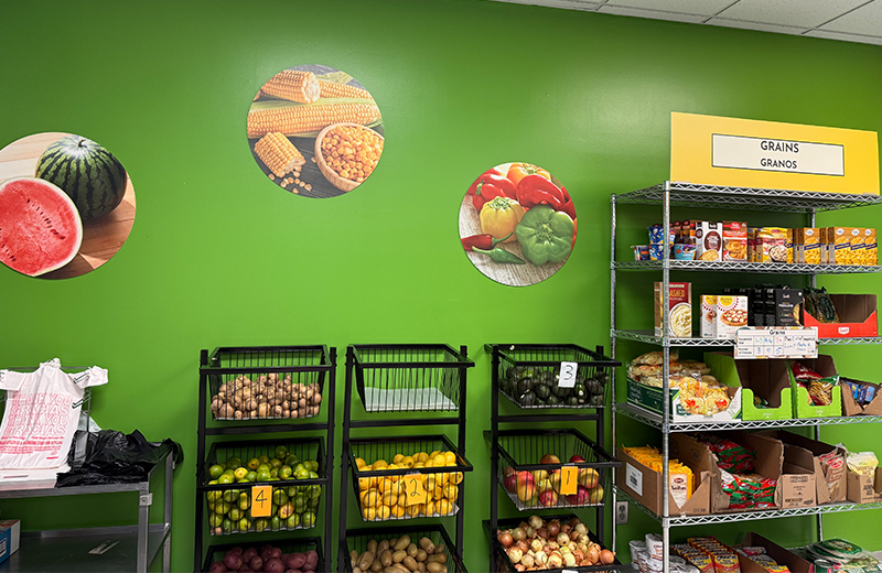 fresh produce in bins