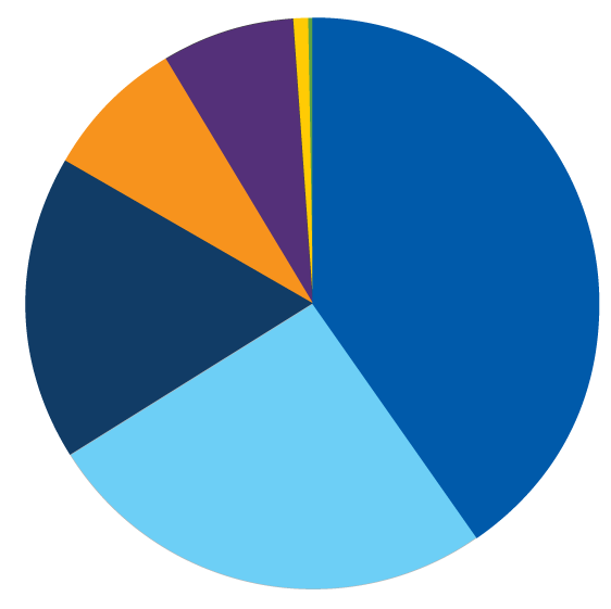 pie chart icon